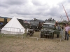 Welland 2010